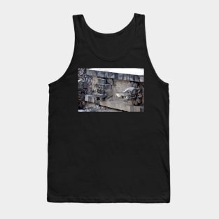 Mexique - Site de Teotihuacan Tank Top